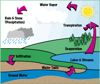 Hydrologic Cycle